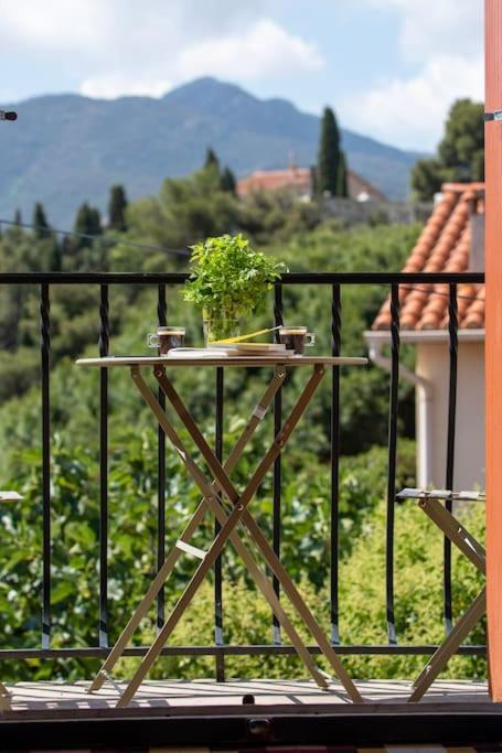 Maison Roof-top & Village 5 Min A Pied Villa *